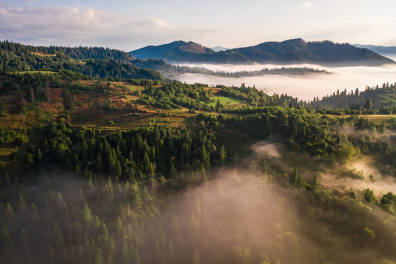 Vue aérienne de collines boisées et vallonnées enveloppées de brume matinale, avec des montagnes se profilant à l'horizon sous une lumière douce. Vue aérienne de collines boisées et vallonnées enveloppées de brume matinale, avec des montagnes se profilant à l'horizon sous une lumière douce.